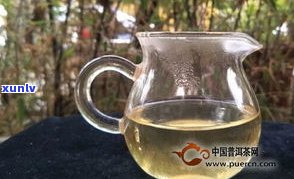 单株是生普熟普：单株普洱茶（生茶）与单芽熟普的区别及冲泡 *** 