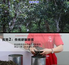 单株普洱茶有熟茶-单株普洱茶有熟茶吗