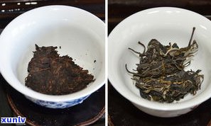 普洱茶：熟茶与生茶的区别及为何存在？