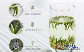 普洱晒青茶：从选茶、泡法到口感，全面解析！