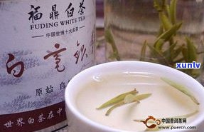 普洱茶珍和普洱茶哪个好？详解普洱茶珍的功效与作用及珍品含义