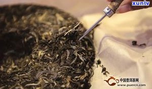 普洱茶珍：好处、功效与普洱茶比较？