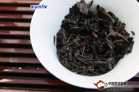 普洱茶和茶珍测评-普洱茶珍和普洱茶哪个好?