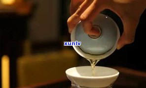 普洱茶能泡什么茶好？探讨其与其它茶叶的搭配效果