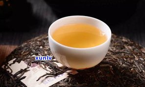 普洱茶能泡什么茶-普洱茶能泡什么茶喝