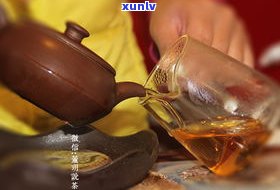 普洱茶能泡什么茶-普洱茶能泡什么茶喝