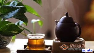 普洱茶熟茶的温度-普洱茶熟茶的温度是多少