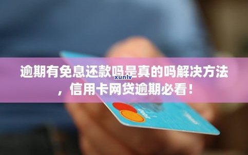 解决信用卡逾期的公司是真实存在的吗？