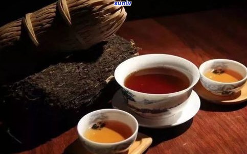 普洱茶博会上的茶-普洱茶博会上的茶是什么茶