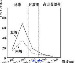 普洱茶苦涩味物质：口感、特性及主导因素解析