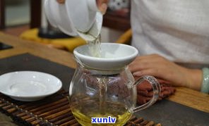 普洱茶苦版纳茶涩-普洱 苦涩