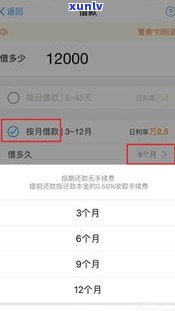 借呗现在还能分期还款吗？怎样操作？