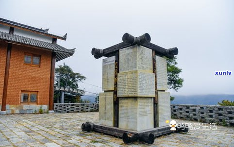 普洱茶马古道历史：由来与历史文化的故事