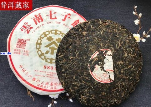 探秘勐海味普洱茶熟茶的产地及特点