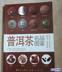 普洱茶名家品老茶价格表：老号排行、品牌与顶级特点全览，附名品图鉴