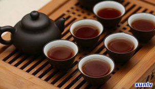 普洱茶名家品老茶：品牌、品种及特点全解析