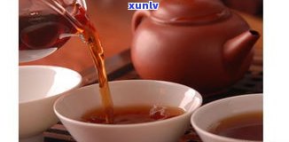 普洱茶有什么茶型？熟悉不同类型的口感与特点