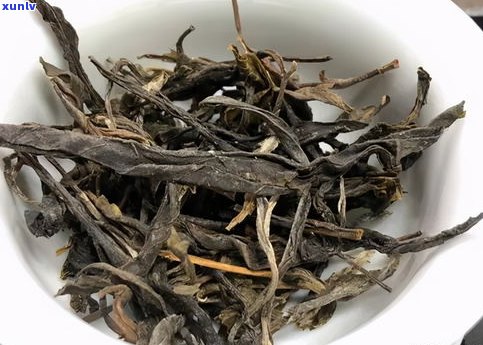 普洱茶：树还是茶类？探讨其品种归属