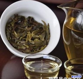 普洱茶：树还是茶类？探讨其品种归属