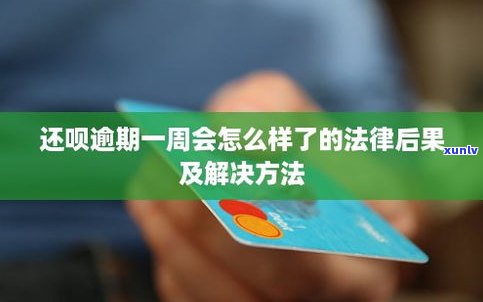 借呗逾期了会怎样？影响及解决办法全解析