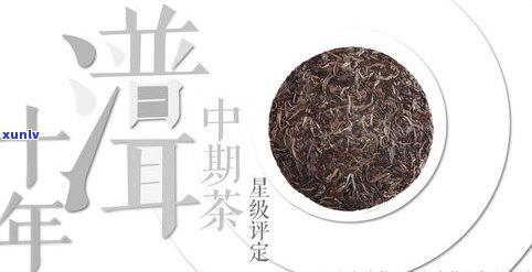 普洱茶的转化期：理解其意义与持续时间