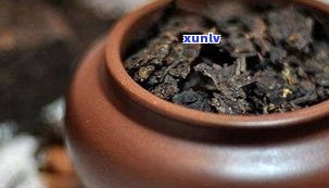 普洱茶醒茶怎么用-普洱茶怎么醒茶更好