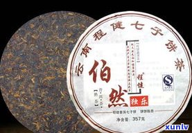 普洱茶工厂包茶饼详细教程：步骤分解视频展示