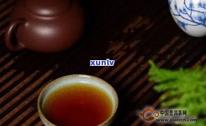 藏茶和普洱茶口感-藏茶和普洱的茶哪个好