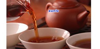 藏茶和普洱茶口感-藏茶和普洱的茶哪个好