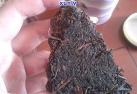 普洱生茶有黄色颗粒是发霉了吗？能否饮用或食用？附图片解析