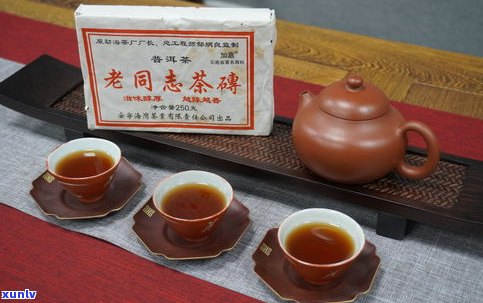 普洱茶品种与茶量的关系：有何不同？