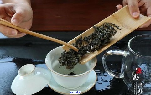 普洱茶品种和茶量-普洱茶品种和茶量的关系