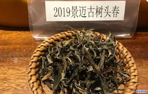 普洱藤条：特点、功效与茶品评价