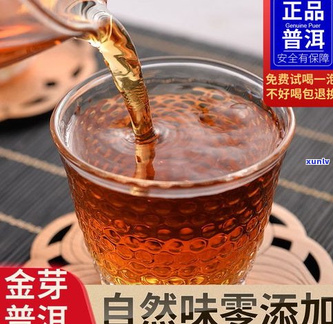 普洱茶黄金芽散茶-普洱茶黄金芽散茶怎么泡