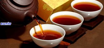 茶味较重的普洱茶品种、品牌及种类推荐