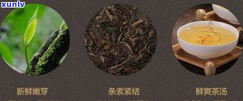 栗子与普洱茶：能否同时食用？探讨两者区别与搭配建议