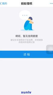 借呗是否提供延期还款政策？详细解析