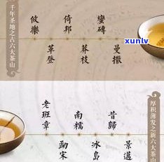 普洱茶赵云川：他是谁？涉及云南普洱茶案件的背后故事