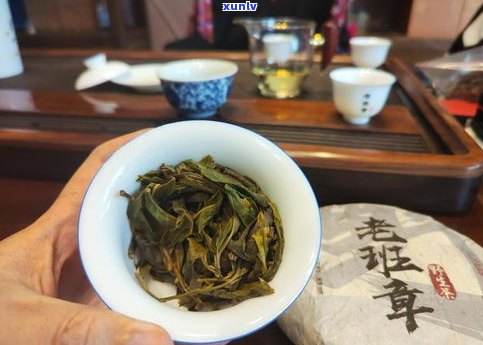 乌龙茶普洱茶区分-乌龙茶普洱茶区分好坏