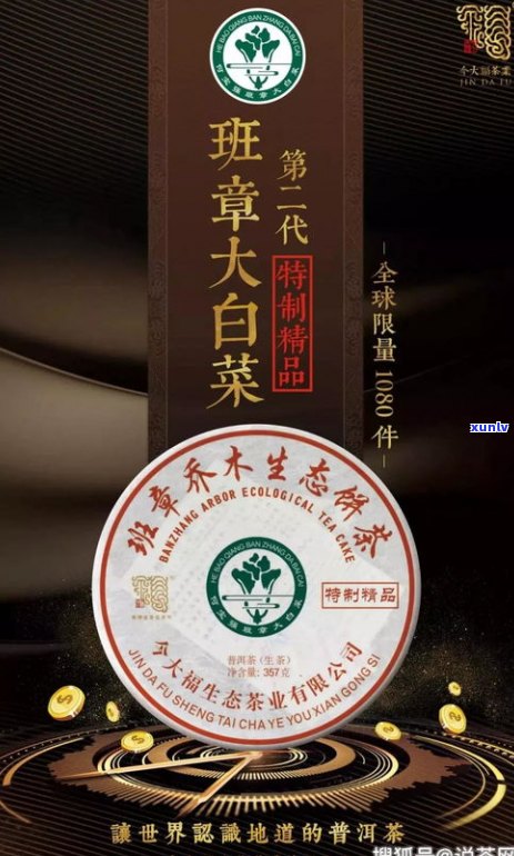 中茶白牡丹5101口感评价：全面解析这款茶的味道与特点