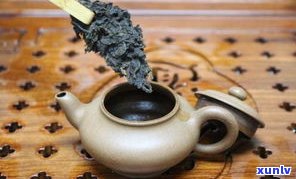 普洱茶原茶：怎样冲泡出好喝的味道？