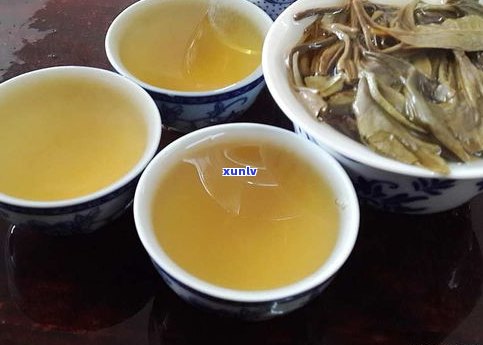 普洱原茶是什么意思？详解其定义与特点