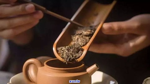 普洱茶原茶怎么泡-普洱茶原茶怎么泡好喝