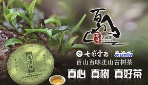 普洱茶古树茶兴起-普洱茶古树茶兴起于哪一年