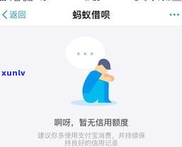 借呗可以停息还款吗-借呗可以停息还款吗?