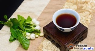 普洱茶饼开茶视频教程：详解步骤与技巧