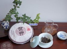 普洱茶饼开茶工具-普洱茶开饼视频教程