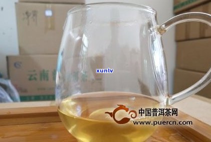 普洱茶泡出来茶絮-普洱茶泡出来茶絮是什么