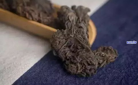 普洱老茶头到底好不好？口感、品质全面解析！