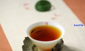 普洱老茶头到底好不好？口感、品质全面解析！